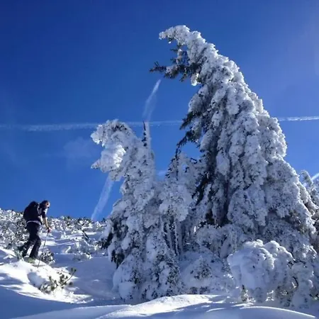 Appartement-reiteralm Schober 아파트 슈라드밍