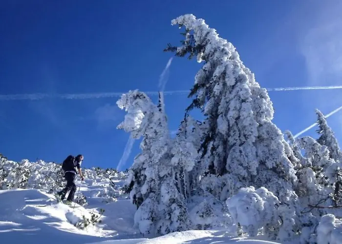Appartement-reiteralm Schober Appartement Schladming
